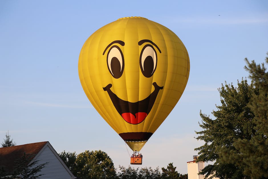 Warum reiben Fliegen an ihren Beinen?