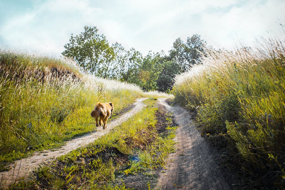 Tipps gegen schwere Beine beim Joggen