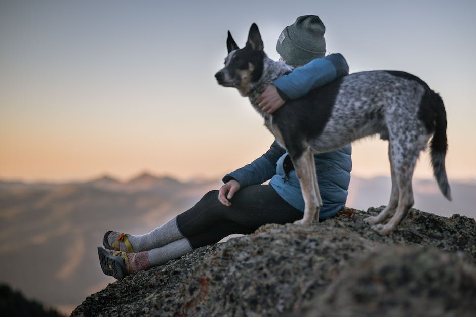  Hunde Beine Beissen - Warum?