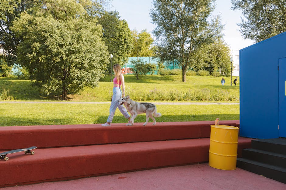  Warum Gehen Hunde Zwischen Menschen Beine