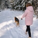 Hunde auf dem Weg zwischen die Beine von Besitzern