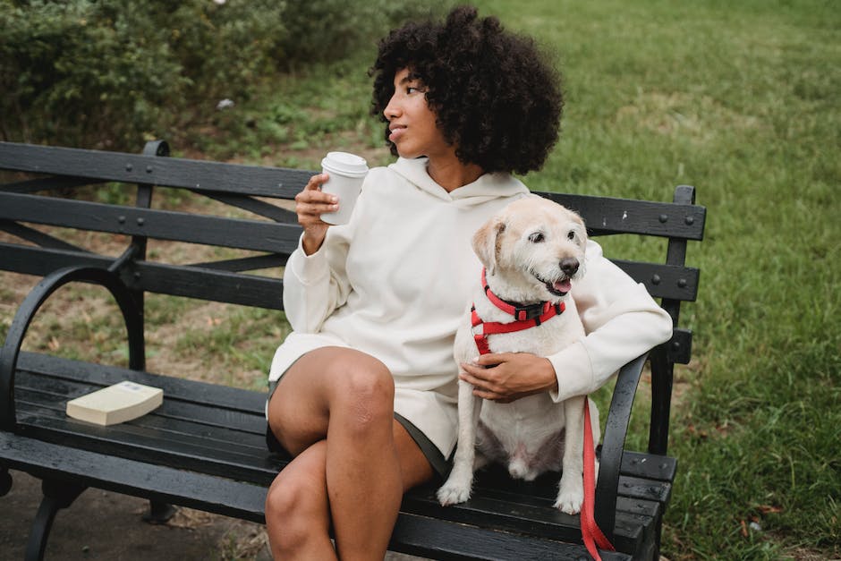  warum rennen kleine Hunde auf drei Beinen?