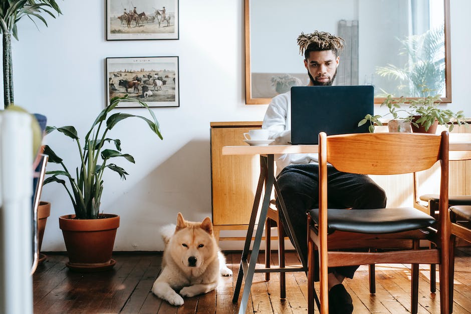 Grunde warum Hunde Menschen bein lecken