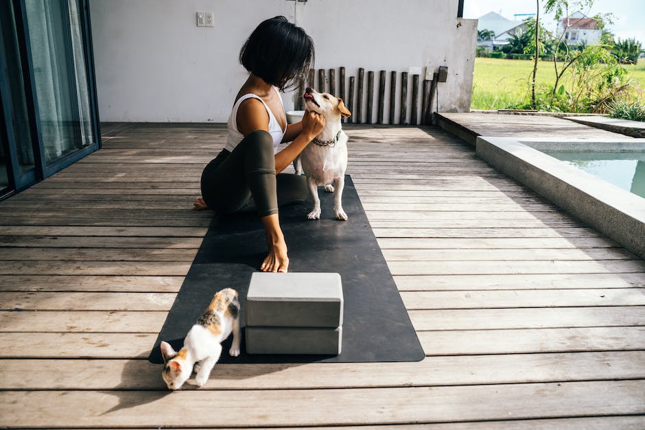  Rätselhafte Verhaltensweise von Hunden: Warum schlecken sie ihre Beine ab?