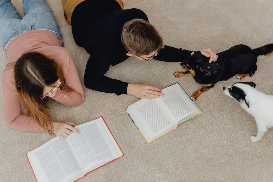  Warum stellen Hunde Nase zwischen Beinen?