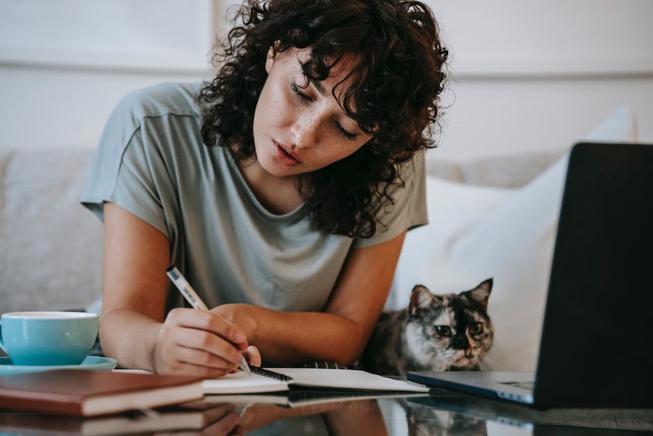  Katzen an den Beinen streichen aus Territorialverhalten