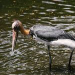 Wasser aus Beinen, Ursachen und Abhilfe