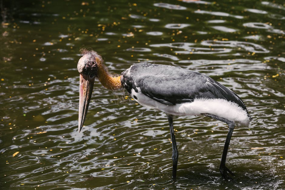 Wasser aus Beinen, Ursachen und Abhilfe