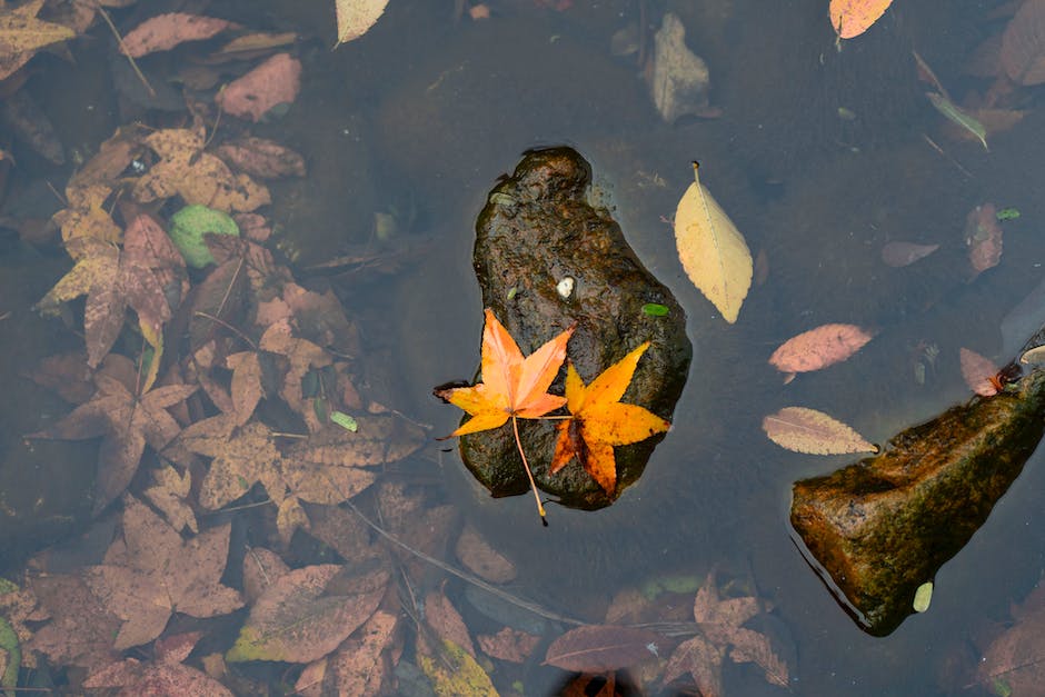  Wasser im Bein schnell reduzieren