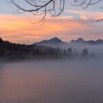 Medikamente zur Behandlung von Wasser in den Beinen