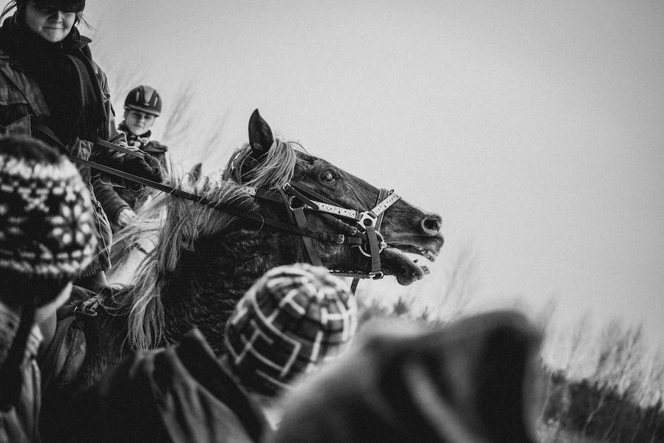  Reiten lernen, um ein ruhiges Bein zu bekommen